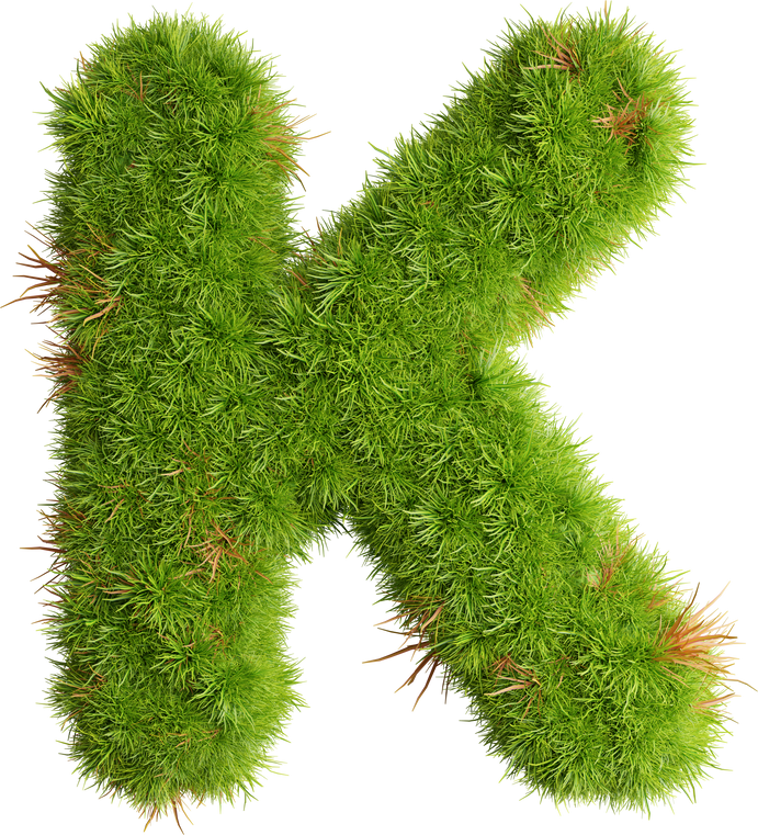 3d grass letter alphabet
